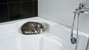В Ленинском районе Саратова отключили холодную воду