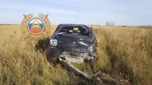 Под Новоузенском Renault Logan опрокинулся в кювет, водитель погиб