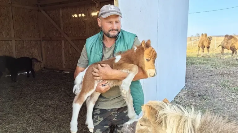 В экопарке под Саратовом спасают животных из цирка и с улицы