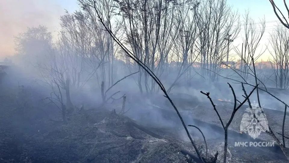 Под Красным Кутом пожарные остановили огонь в 5 га от жилья
