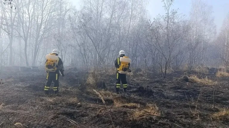 Пожар под Лохом стабилизирован, угрозы селу нет