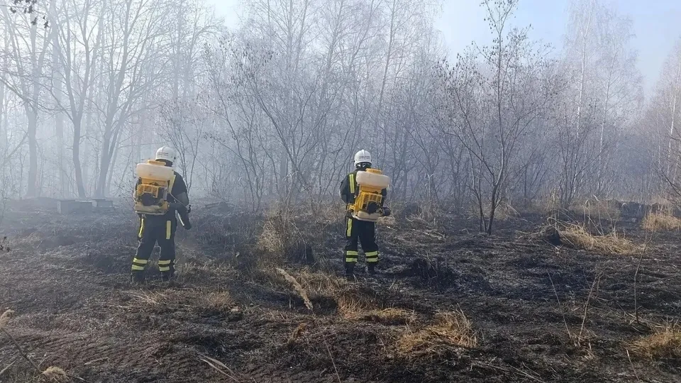 Пожар под Лохом стабилизирован, угрозы селу нет