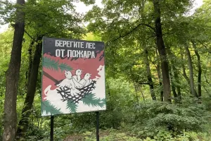 В Левобережье Саратовской области сохраняется чрезвычайная пожарная опасность
